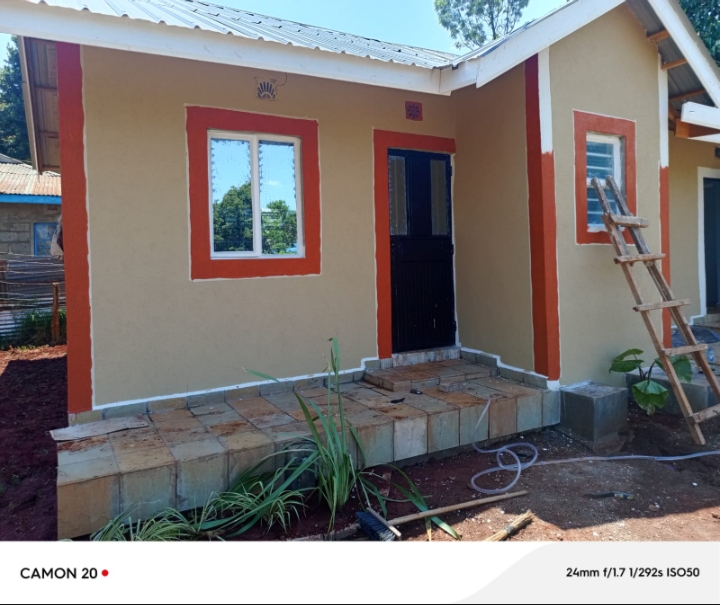 Exterior Building Renovation - Project Gallery Image 6