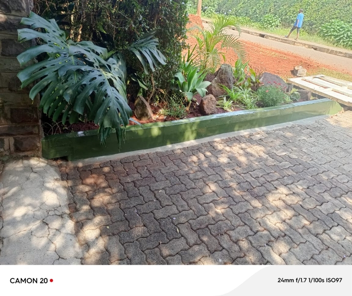 Cabro Paving & Driveway - Project Gallery Image 3
